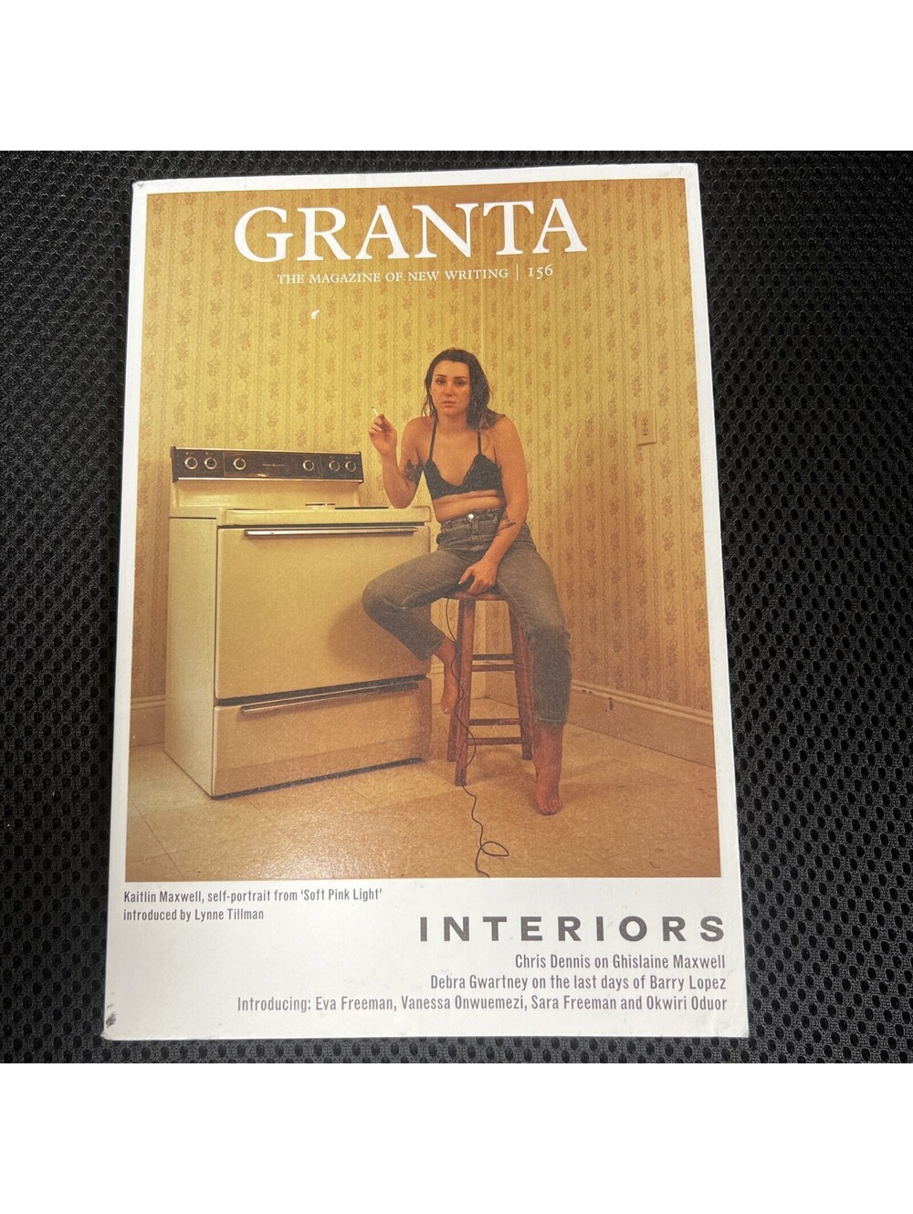 Granta 156: Interiors by Sigrid Rausing (2021, Uk-B Format Paperback)